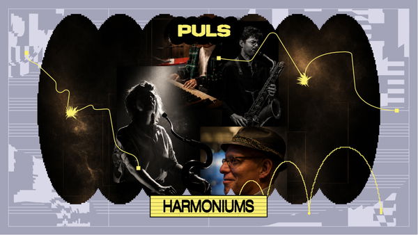 Harmoniums @ Willem Twee Poppodium 2027-05-09