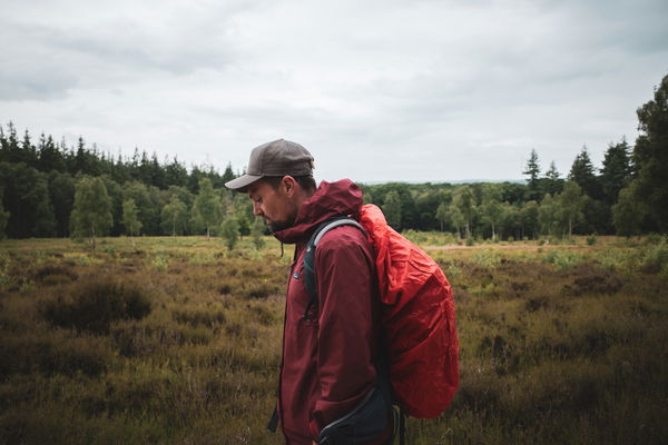 TIM KNOL: Wanderings