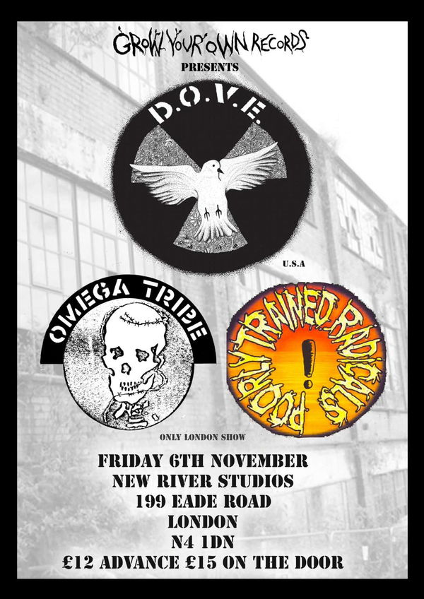 D.O.V.E @ New River Studios 2026-11-06