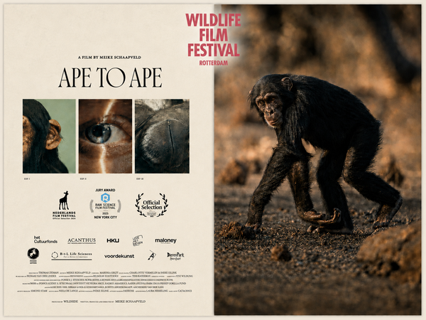 WFFR - Aap tot aap & Chimps of Fongoli @ Welkom Bij De Buurvrouw 2026-10-15