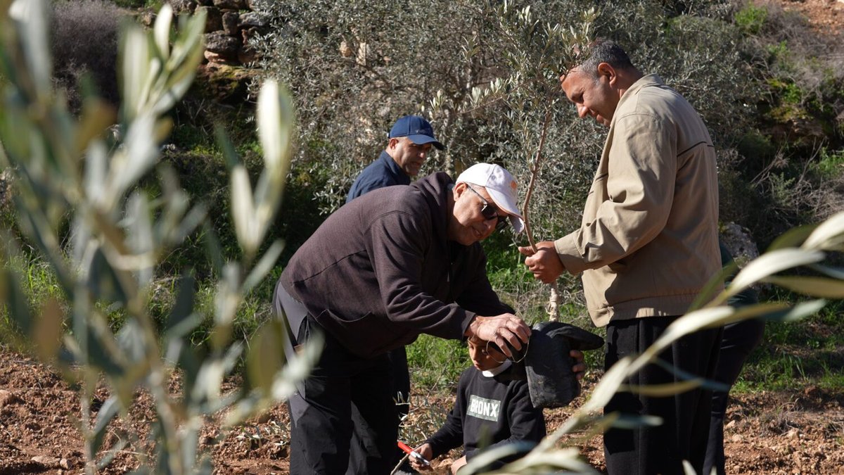 Plant een Olijfboom: Van podium naar Palestina – hoe zet jij jouw stem in? @ Motel Mozaïque 2027-04-15